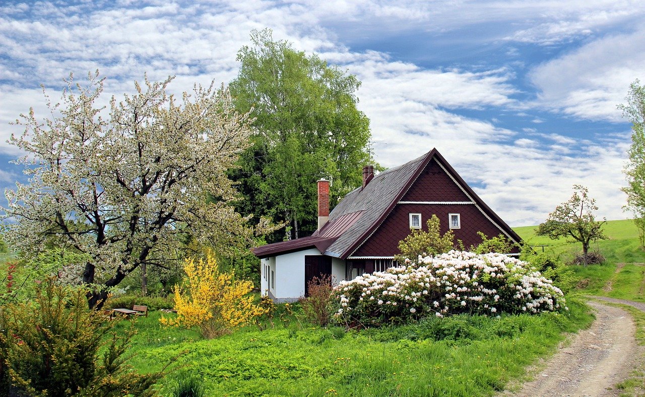 spring, cottage, house
